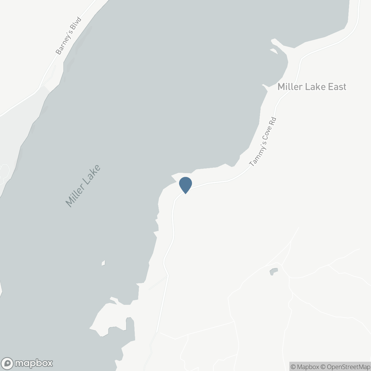 280 TAMMY'S COVE ROAD, Lion's Head, Ontario N0H 1W0